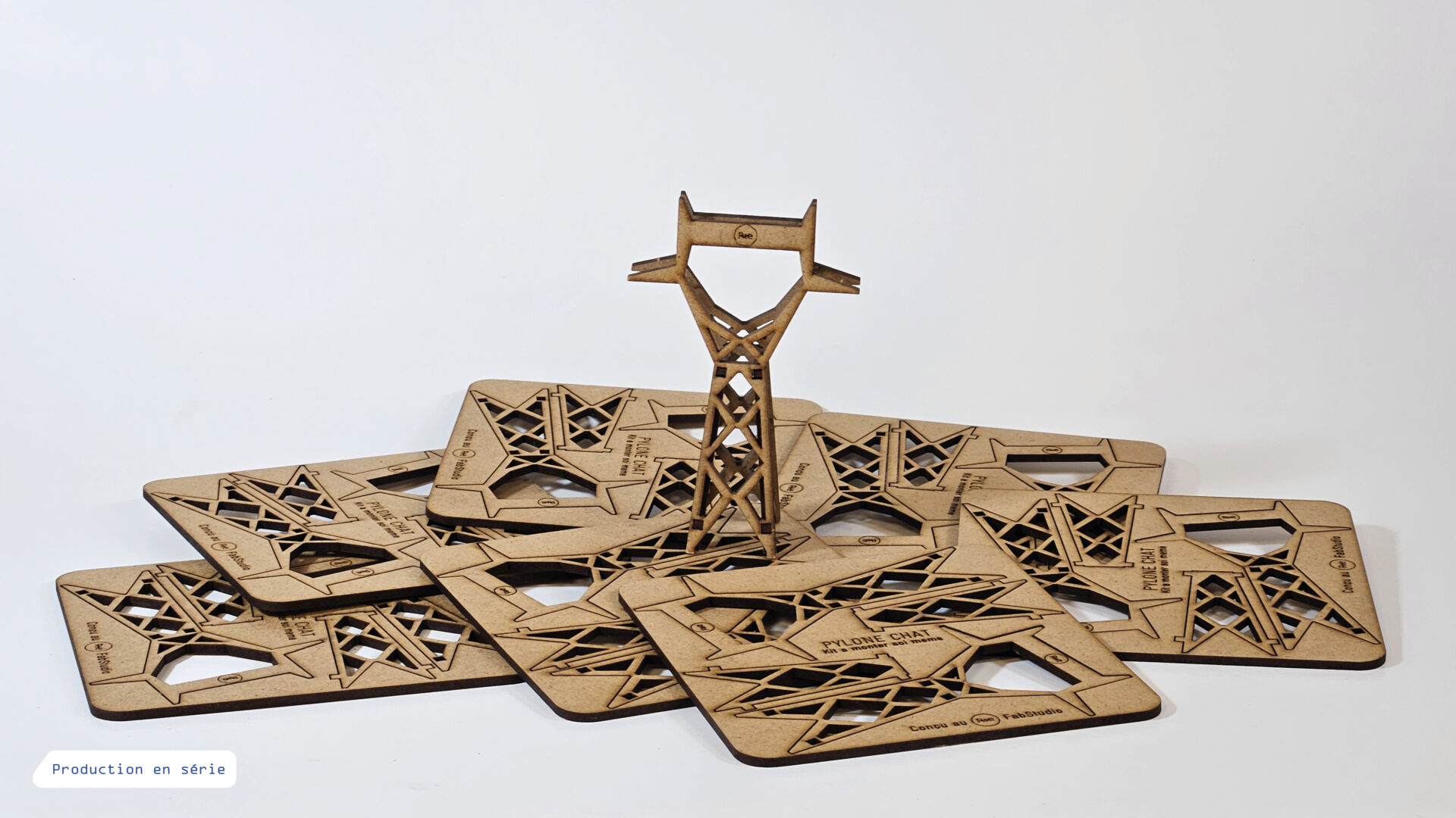 petit-pylone-chat_rte